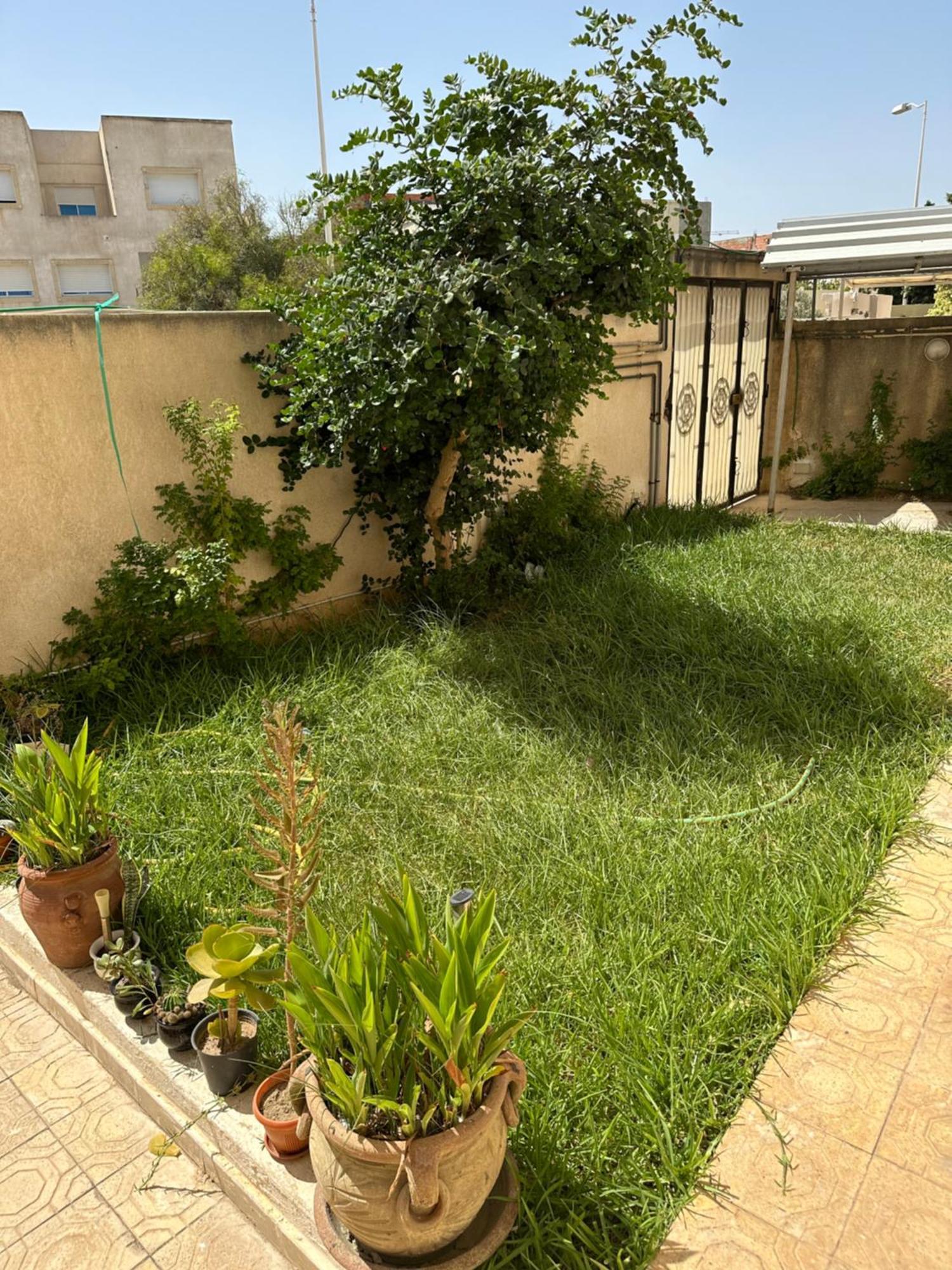 Апартаменты Garden House Jardin De Carthage Sidi Daoud Экстерьер фото